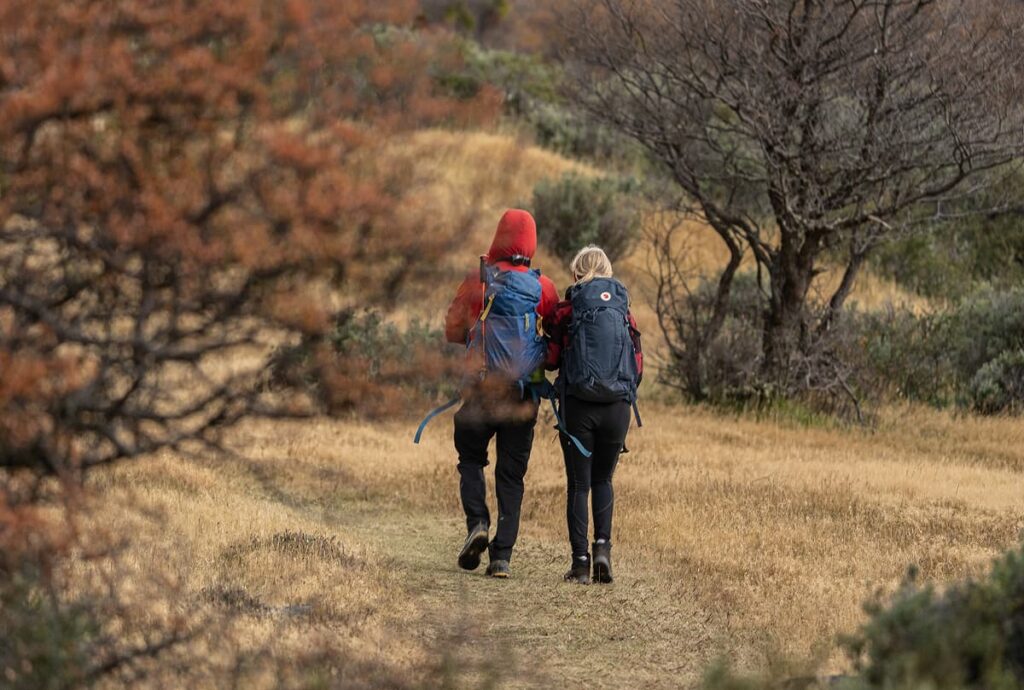Parque nacional Torres del Paine — imagen 3