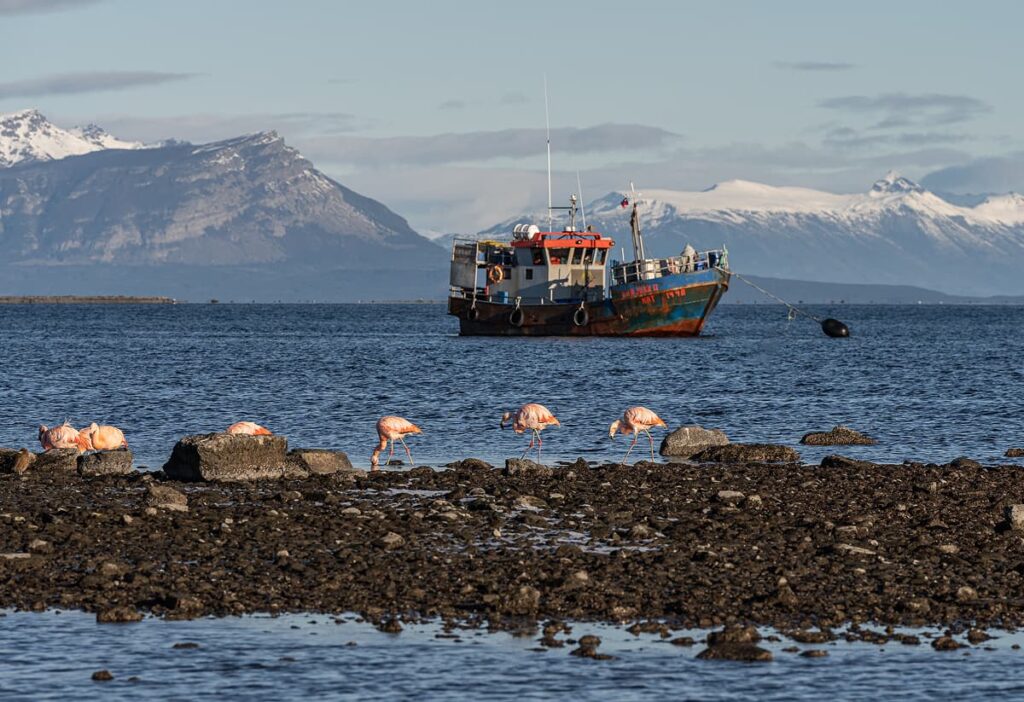 Puerto Natales — imagen 1