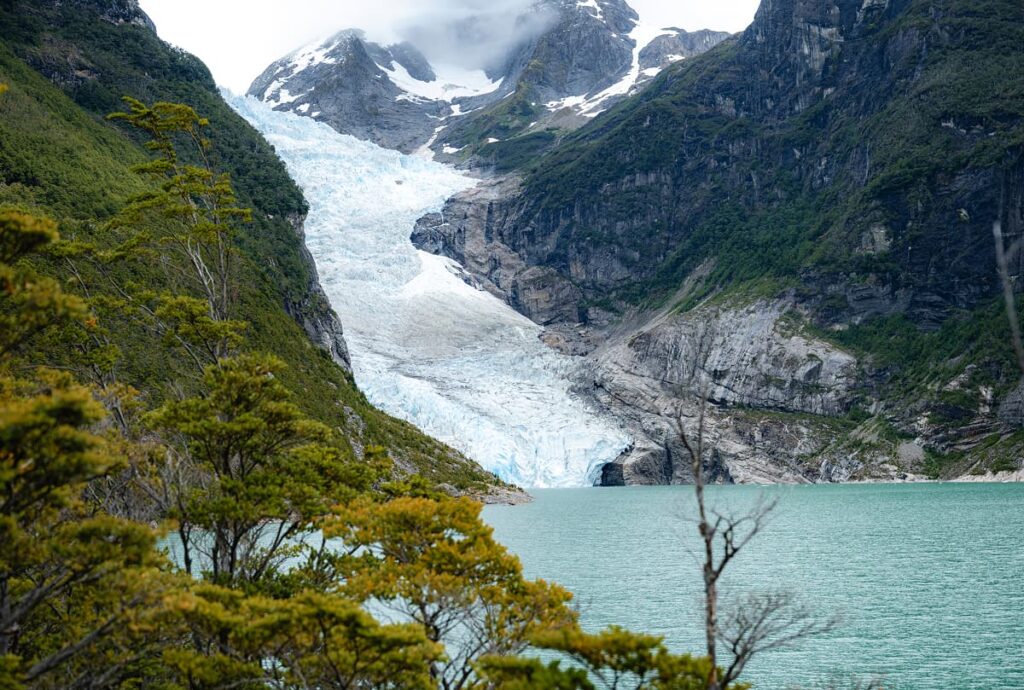 Tour Navegación Glaciar Grey — imagen 3
